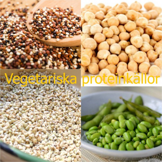 protein på vegetarisk kost